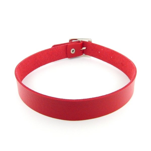 Rotes Wechsel Halsband für O-Ring Anhänger